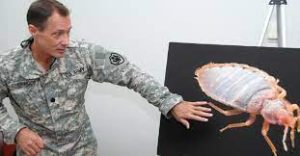 BUG TREATMENT FOR ARMED FORCES