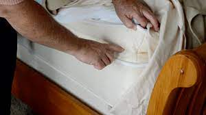 BUG TREATMENT FOR CRUISE LINERS