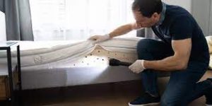 BED BUG TREATMENT